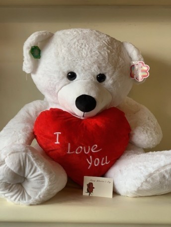 Large Teddy