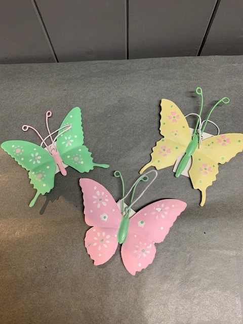 Coloured Butterfly